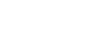 SBAPP white logo